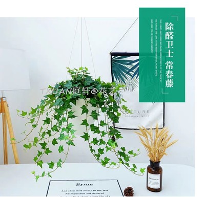 佛山禪城植物擺租與花藝工程的雙重樂章 打造會呼吸的商務空間